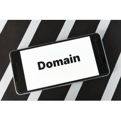 Domain Gebühr für 1 Domain
